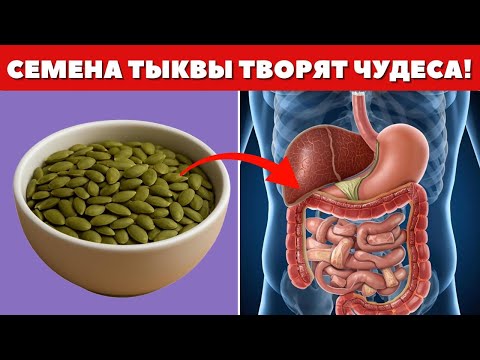 Видео: Вот что будет, если есть семена тыквы каждый день