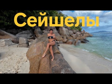 Видео: Лучшая рыбалка на Сейшелах. Путешествия на катамаране с семьей. Яхтинг в Индийском океане.