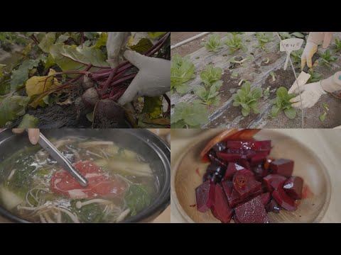 Видео: Корейская самодостаточность Сельская жизнь / Здоровая и вкусная сельская жизнь / Пивоварня