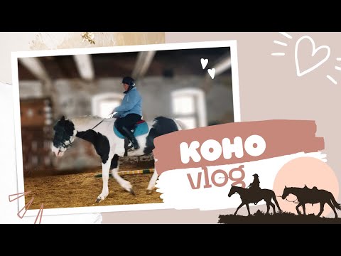 Видео: VLOG из конюшни | продолжение коноблога | езжу без стремян | верховая езда для начинающих