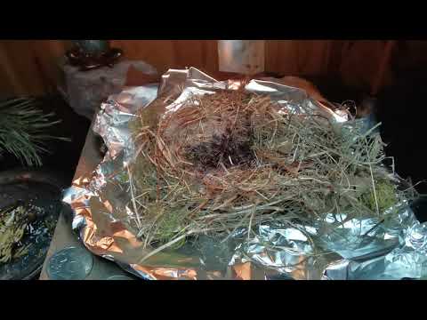 Видео: ЧИСТКА ОТ ВСЕХ НЕДУГОВ#ОТЖИГ ВРЕДОНОСНЫХ ПРИВЯЗОК(через птичье гнездо)