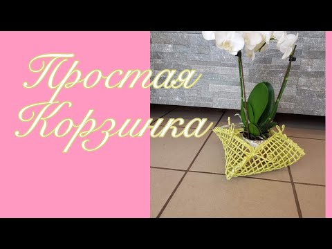 Видео: Калининград/поход в «Леонардо»/корзинка для орхидей/ручная работа/Handarbeit/Königsberg