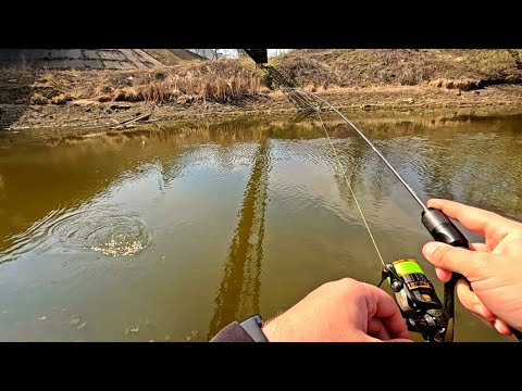 Видео: Нет денег на дорогой ШНУР?? НАНО -ШНУР за 400 руб. Бюджетный мормышинг с Dayo Upgrade Х4!