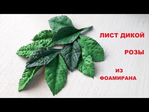 Видео: Лист дикой розы из фоамирана. Как работать с молдами.