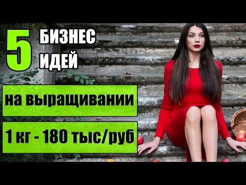 Видео: Топ-5 Простых Бизнес Идей на земельном участке! Бизнес на выращивании! Бизнес идеи 2020!