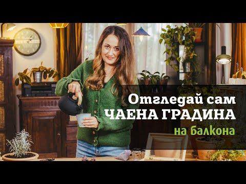 Видео: Отгледай сам ЧАЕНА ГРАДИНА на балкона