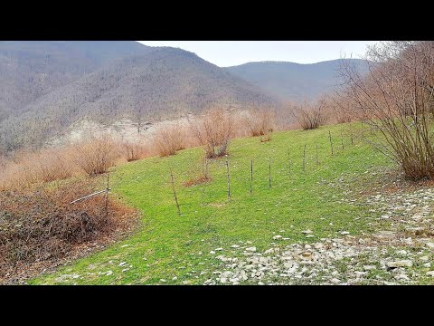 Видео: Наджиго. Водопады и каньоны