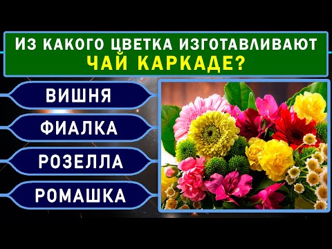 Видео: ТЕСТ НА ЭРУДИЦИЮ. 10 НЕОЖИДАННЫХ вопросов для настоящих ГЕНИЕВ. #насколькостарвашмозг #эрудиция #iq