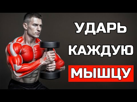 Видео: ЭТИ 8 УПРАЖНЕНИЙ С ГАНТЕЛЯМИ ПРЕОБРАЗЯТ ТВОЕ ТЕЛО ПОЛНОСТЬЮ
