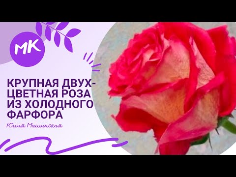 Видео: Мастер класс "Крупная двух-цветная Роза" из холодного фарфора