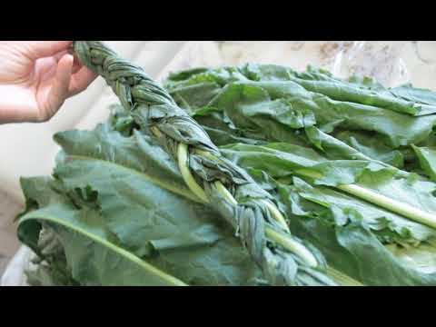 Видео: ЩАВЕЛЬ Зимой больше НЕ ПОКУПАЮ! Самая лучшиая заготовка щавеля НА ЗИМУ!/ Əvəlik qurusu.