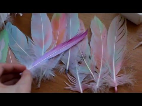 Видео: Красим перья часть 2