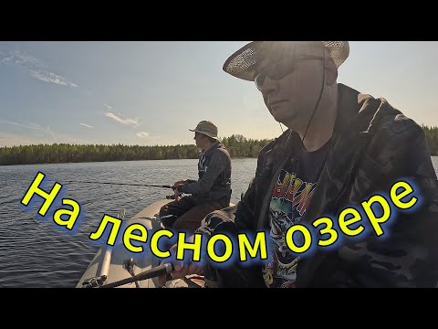 Видео: Вновь на разведке новых мест.  Далекое лесное озеро с рекой в Карельской глуши.