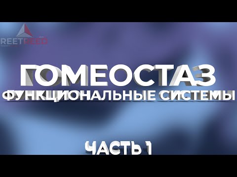 Видео: Физиология: саморегуляция и функциональные системы. ( 1 Часть )