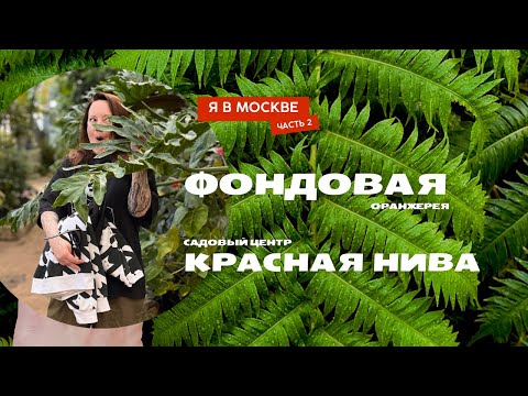 Видео: Москва: Главный ботанический сад, Фондовая оранжерея, садовый центр «Красная Нива»