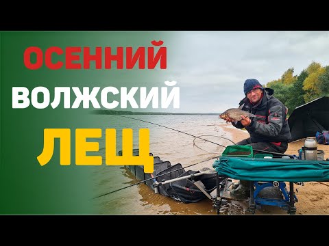 Видео: Рыбалка на Волге.  Ловля леща.