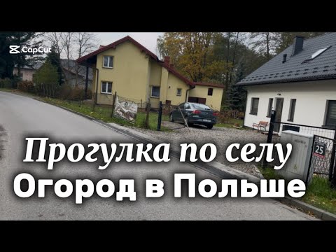 Видео: #обзор ✅❤️ПОЛЬСКОЕ СЕЛО . ЧТО РАСТЕТ В МОЁМ ОГОРОДЕ‼️  #огород #польша #влогпольша 