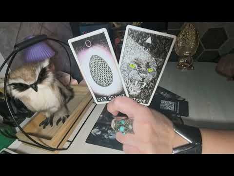 Видео: 🔥🤦Его всего колотит и трясет🔥. Что там с ним из за Вас🔥🤦