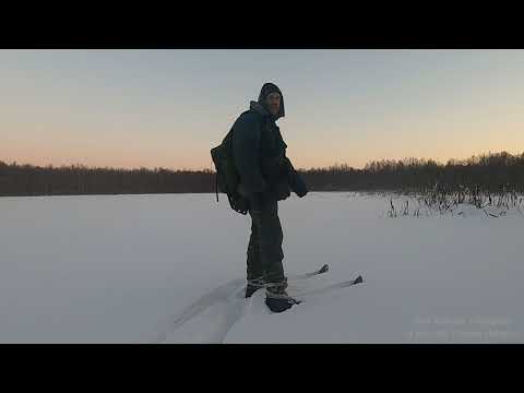 Видео: Лыжный  поход .10 - 11февраля 2024г. ,оз Чан, оз. Шадрино, Кочкинское болото