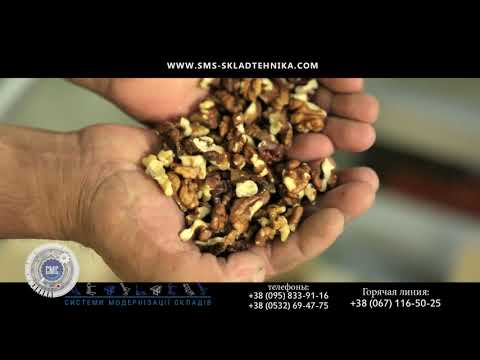 Видео: Оборудование для переработки грецкого ореха / Equipment for processing of walnuts