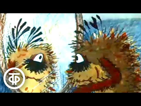 Видео: Чудовище. Мультфильм по мотивам рассказа Нины Катерли (1990)