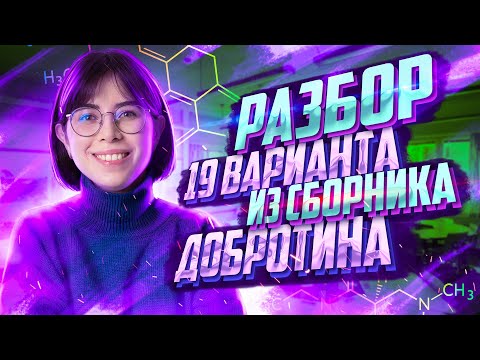 Видео: Разбор Варианта №19 из Сборника Добротина 2023 | Екатерина Строганова