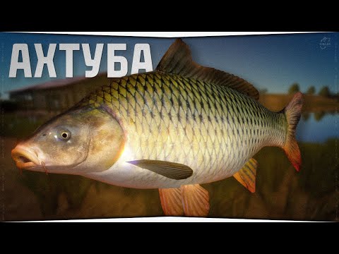 Видео: Рыбалка на реке Ахтуба • Русская Рыбалка 4