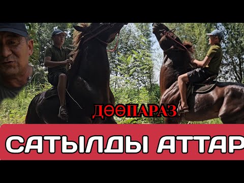 Видео: САТЫЛДЫ АТТАР КАМАЛ АКЕДЕГИ