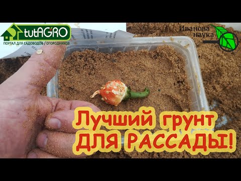 Видео: ЛУЧШИЙ ГРУНТ ДЛЯ РАССАДЫ! Без мух, грибков, черной ножки, рыхлый и с ПРЕВОСХОДНЫМ РЕЗУЛЬТАТОМ!