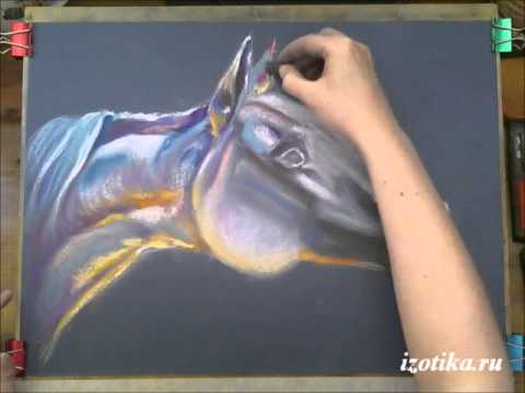 Видео: Голова лошади. Сухая пастель