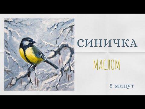 Видео: Нарисуем синичку!  5 минут 🐦