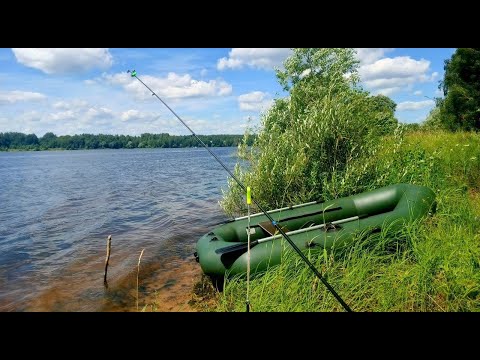 Видео: Рыбалка на Волге. Нашли тихое место, но есть нюанс