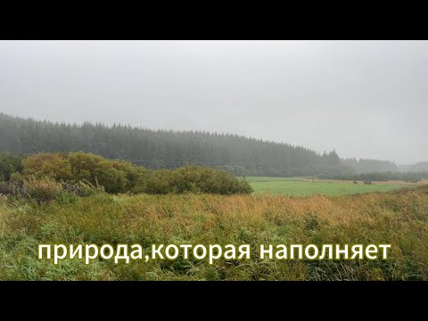 Видео: тихая жизнь на острове/как найти смысл в одиночестве?