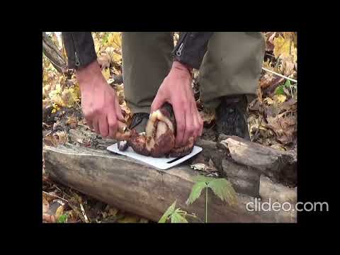 Видео: Копчене сало по рибацьки. Fisherman's smoked bacon.