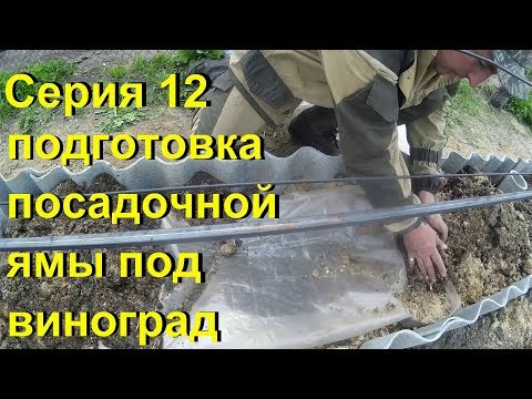Видео: Лёха & подготовка посадочной ямы под виноград . Серия - 12