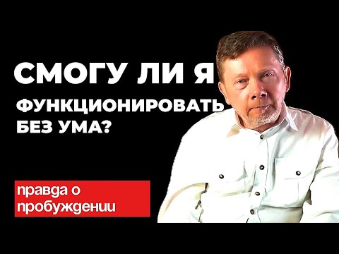Видео: Смогу ли Я функционировать без ума  Экхарт Толле