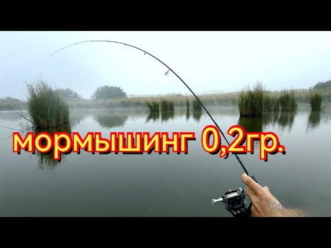 Видео: Мормышинг в мае. Карась на мормышку 0,2гр.