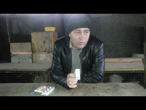 Видео: РИНИТ? ЧИХАЕТ КРОЛИК? ВАМ СЮДА!!!!