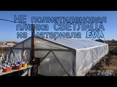 Видео: Накрываем зимнюю теплицу пленкой СВЕТЛИЦА. Суперпрочная пленка НЕ из полиэтилена.