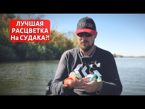 Видео: Важен цвет или НЕважен?!