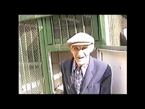 Видео: Замечник. Спецархив. Хроники русского голубеводства.