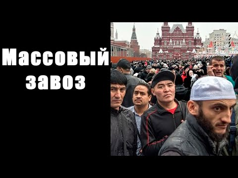Видео: Ежи Сармат: миграционная политика РФ