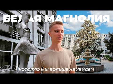 Видео: Белая Магнолия, которую мы больше не увидим | Несбывшийся каменный цветок у моря | 2025