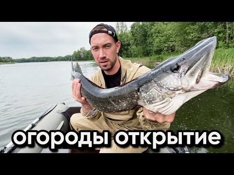 Видео: Вот так открытие! Рыбалка на щуку с лодки в Самарской области.