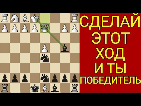 Видео: Самая новая ЛОВУШКА в начале партии! Выучите ее и побеждайте. Шахматы ловушки