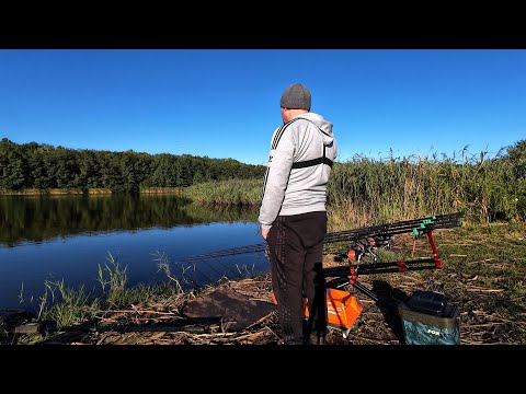 Видео: Почти ДУПЛЕТ на Тигровый орех.