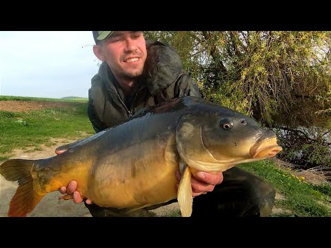 Видео: Як я ловив Коропа на саморобні бойли.