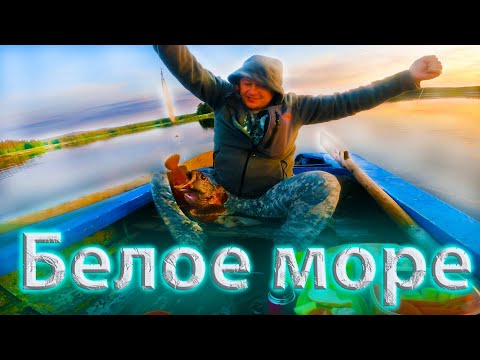 Видео: Рыбалка на Кандалакшском заливе