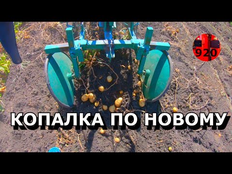 Видео: НЕ ГРОХОТНАЯ КАРТОФЕЛЕКОПАЛКА В РАБОТЕ