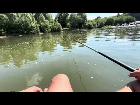 Видео: Невдала риболовля на карася, зате чудовий відпочинок на Дністрі.